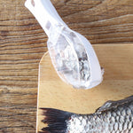 Fast Fish Scaler